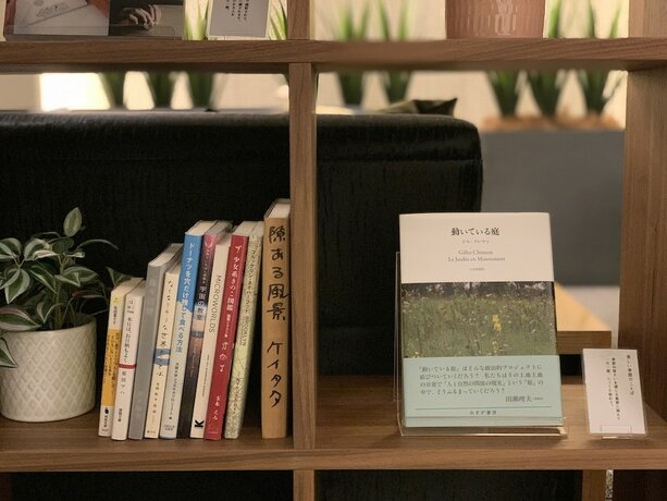 Imagen general del Hotel Sakura Garden. Foto 2