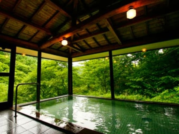 Imagen general del Hotel Sakura Shimizu Cottage. Foto 2