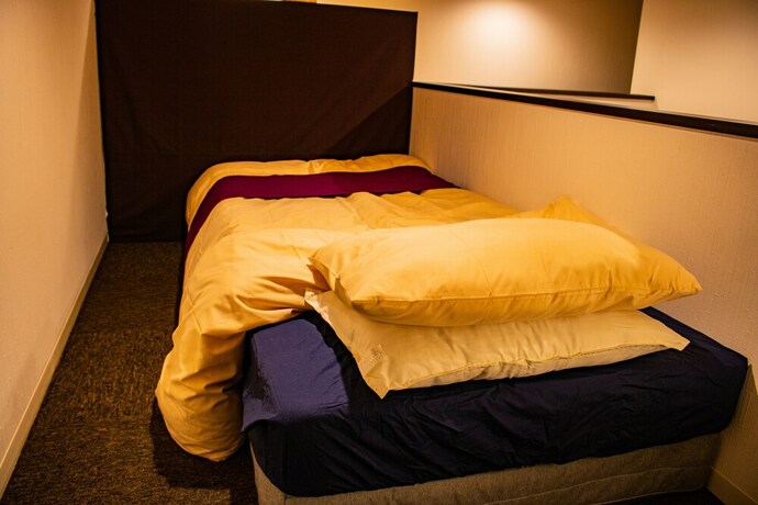 Imagen de la habitación del Hotel Sakura Villa Osaka. Foto 36