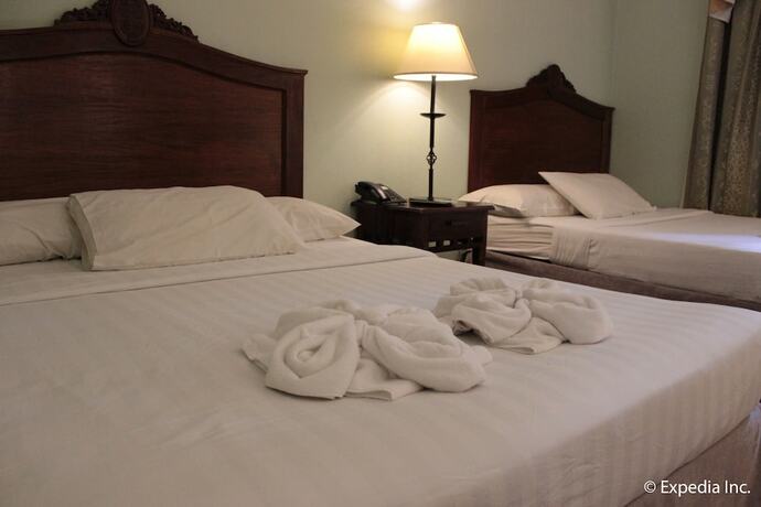 Imagen general del Hotel Salcedo De Vigan. Foto 3