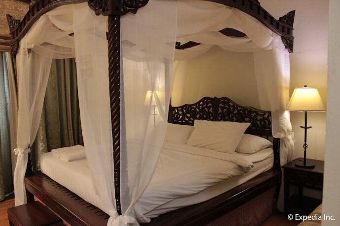 Imagen general del Hotel Salcedo De Vigan. Foto 4