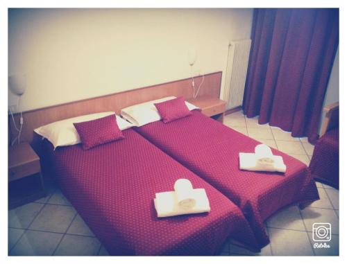 Imagen general del Hotel Salgetti. Foto 1