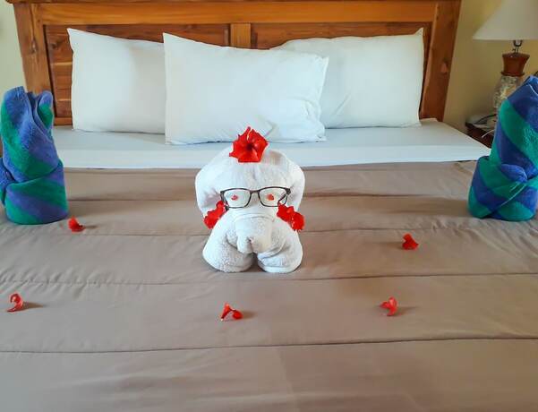 Imagen de la habitación del Hotel Salili Bungalows. Foto 24