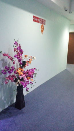 Imagen de los interiores del Hotel Salim Inn. Foto 16