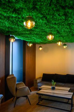 Imagen general del Hotel Salis. Foto 5