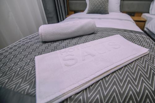Imagen general del Hotel Salis. Foto 14