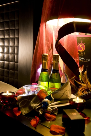 Imagen de la habitación del Hotel Salles Aeroport Girona. Foto 10