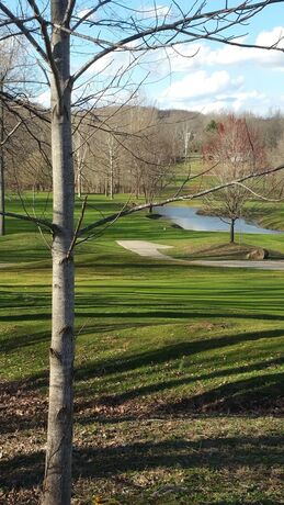 Imagen general del Hotel Salt Creek Golf Retreat. Foto 5