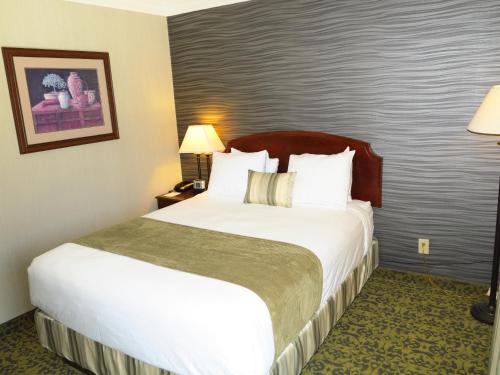 Imagen de la habitación del Hotel Salt Lake Plaza SureStay Collection by Best Western. Foto 7