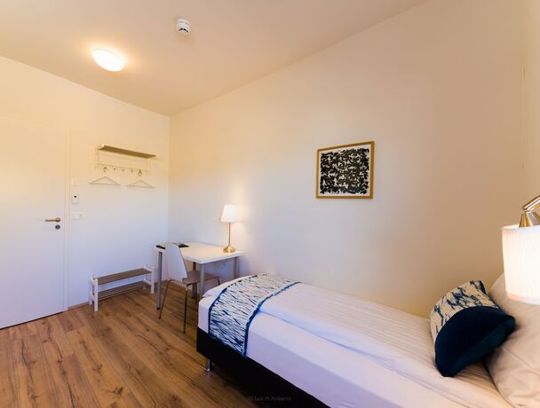 Imagen de la habitación del Hotel Salthús Guesthouse. Foto 15