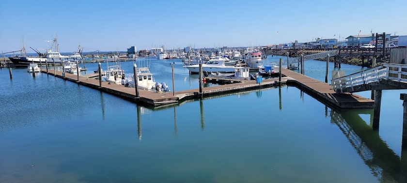 Imagen de la habitación del Hotel Saltwater Inn. Foto 9