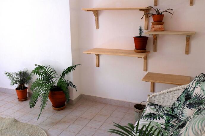 Imagen general del Hotel Salty\'s Kitesurf Village. Foto 2