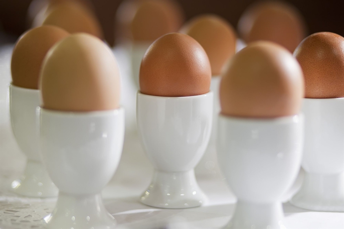 Imagen del bar/restaurante del Hotel Salut. Foto 6