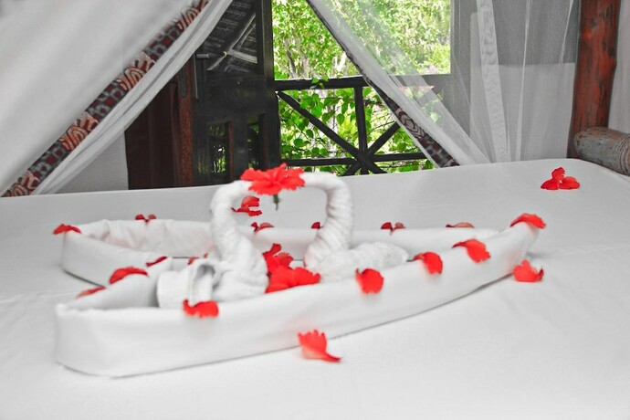 Imagen general del Hotel Samaki Lodge. Foto 17
