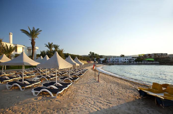 Imagen general del Hotel Samara, Torba. Foto 11