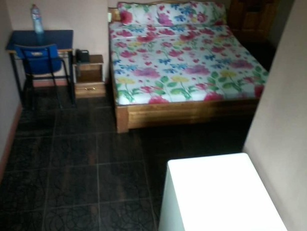 Imagen de la habitación del Hotel Samartine. Foto 12