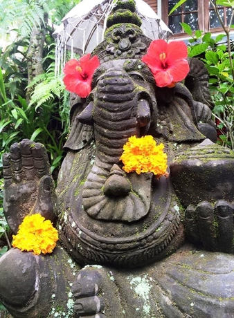 Imagen de los interiores del Hotel Sama's Cottages and Villas. Foto 16