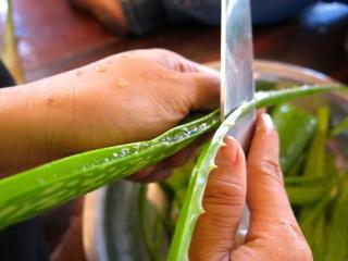 Imagen general del Hotel Samba Villas, Lombok. Foto 19