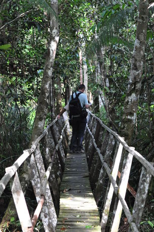 Imagen general del Hotel Samboja Lodge. Foto 4