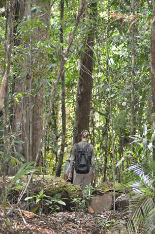 Imagen de los exteriores del Hotel Samboja Lodge. Foto 11