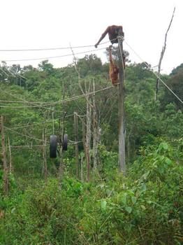 Imagen de los exteriores del Hotel Samboja Lodge. Foto 12