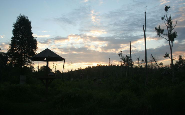 Imagen de los exteriores del Hotel Samboja Lodge. Foto 15