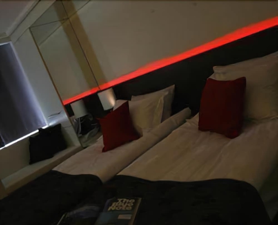 Imagen de la habitación del Hotel Samm Bistro Spa - Boutique Class. Foto 4