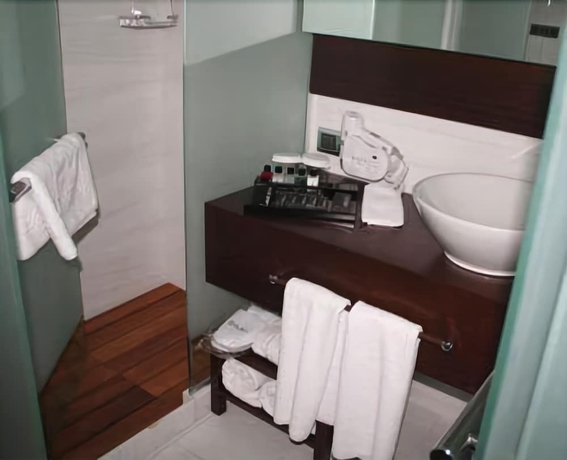 Imagen de la habitación del Hotel Samm Bistro Spa - Boutique Class. Foto 10
