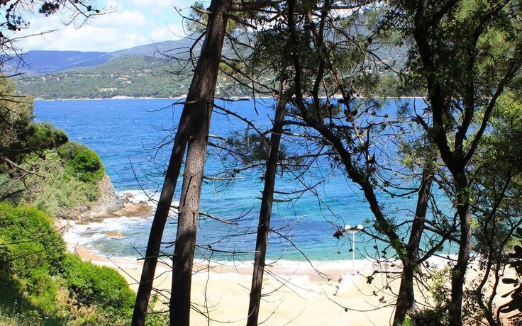 Imagen del bar/restaurante del Hotel Sampiero Corso. Foto 5