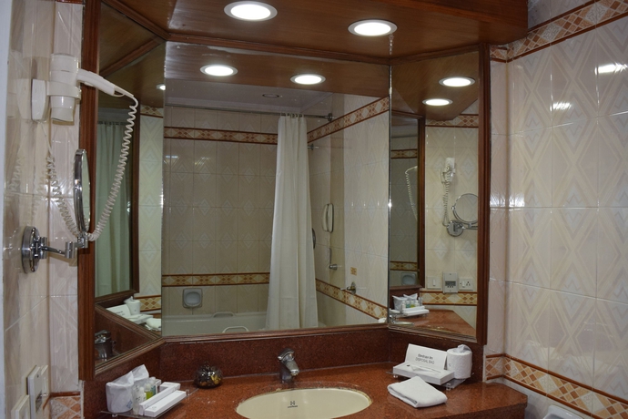 Imagen de la habitación del Hotel Samrat. Foto 9