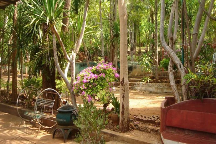Imagen general del Hotel Sam\'s Jungle Guesthouse. Foto 6