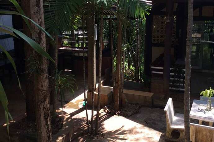 Imagen general del Hotel Sam\'s Jungle Guesthouse. Foto 8