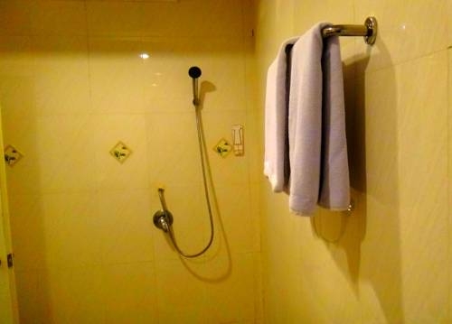 Imagen general del Hotel Sam's Lodge. Foto 15