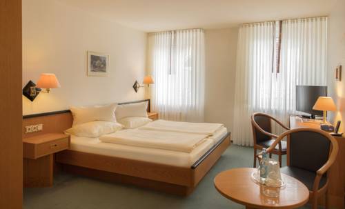 Imagen de la habitación del Hotel Samson. Foto 3