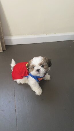 Imagen general del Hotel San Antonio, Chimbote. Foto 4