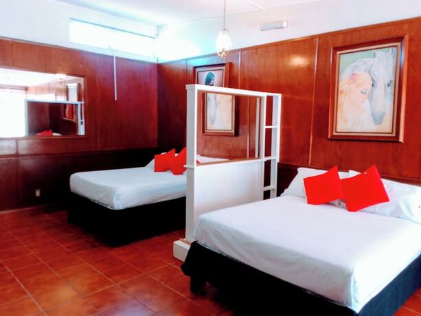 Imagen de la habitación del Hotel San Antonios. Foto 16