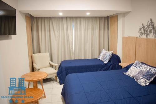 Imagen de la habitación del Hotel San Bernardo Plaza. Foto 13