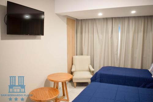 Imagen general del Hotel San Bernardo Plaza. Foto 6