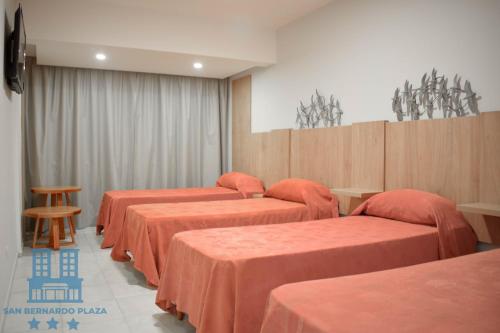 Imagen de la habitación del Hotel San Bernardo Plaza. Foto 15