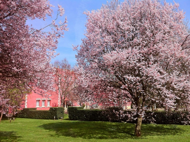 Imagen general del Hotel San Camilo. Foto 2