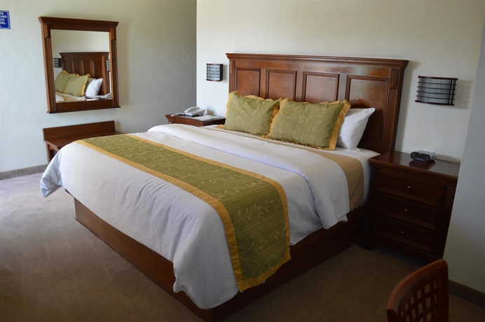 Imagen de la habitación del Hotel San Carlos Tequisquiapan. Foto 3