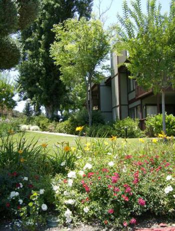 Imagen general del Hotel San Diego Country Estates. Foto 5