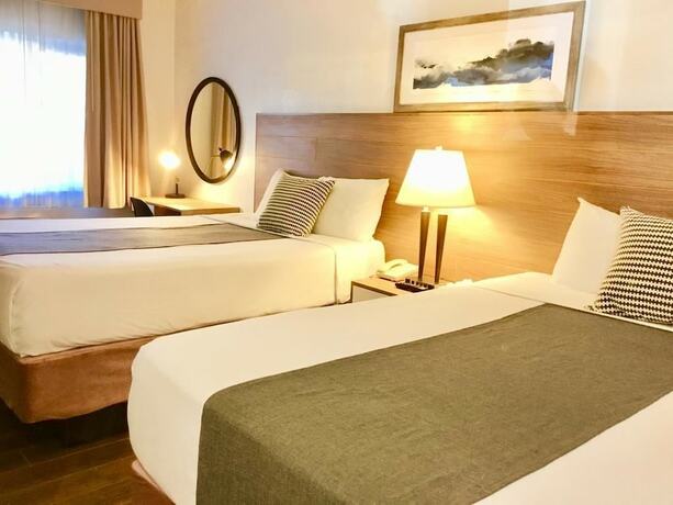 Imagen general del Hotel San Diego Downtown Lodge. Foto 6