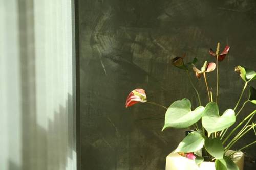 Imagen de la habitación del Hotel San Diego, Novelé. Foto 12