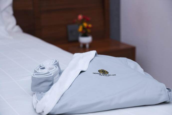 Imagen de la habitación del Hotel San Felipe, Santa Ana. Foto 16