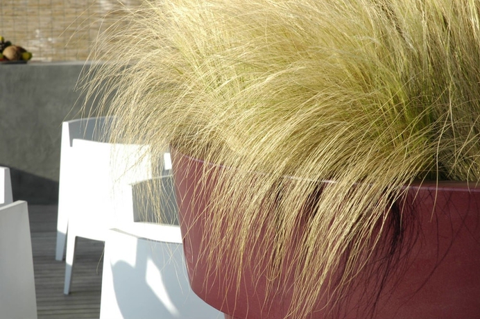 Imagen del bar/restaurante del Hotel San Francesco, Roma. Foto 9