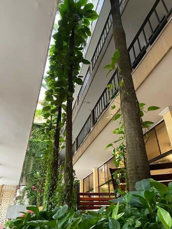 Imagen general del Hotel San Francisco, Barranquilla. Foto 15