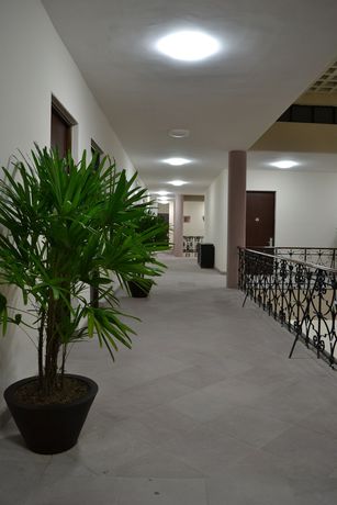 Imagen de los interiores del Hotel San Francisco, San Luis Potosi. Foto 16