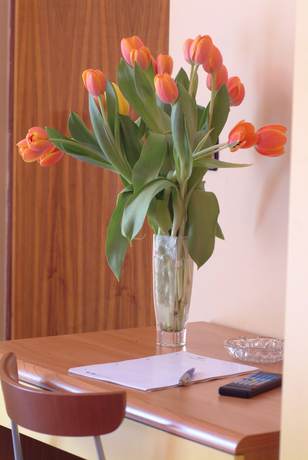 Imagen de la habitación del Hotel San Geminiano. Foto 2