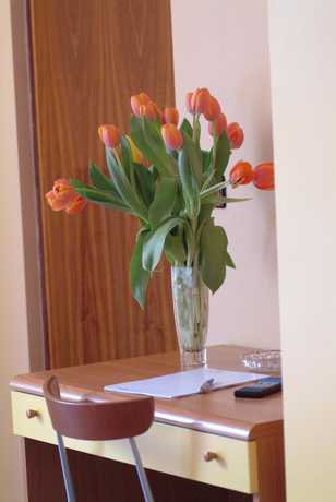 Imagen de la habitación del Hotel San Geminiano. Foto 7